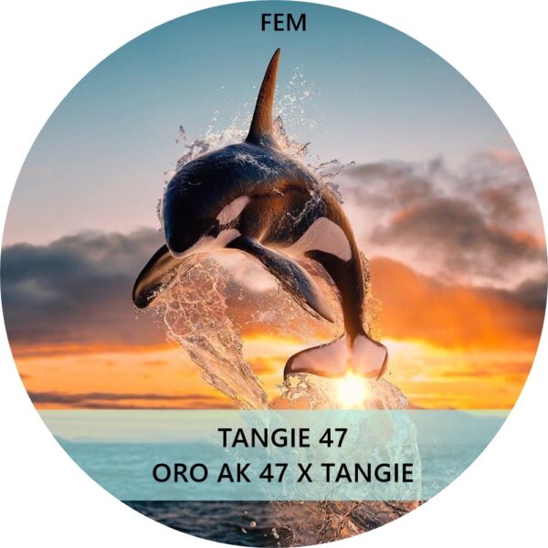 TANGIE 47