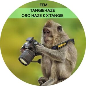 TANGIEHAZE