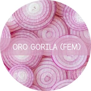 ORO GORILA