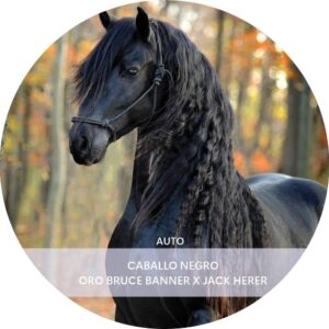 CABALLO NEGRO