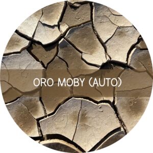 ORO MOBY