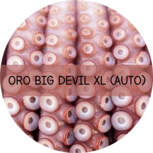 ORO BIG DEVIL XL