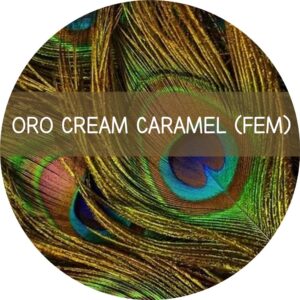 ORO CREAM CARAMEL