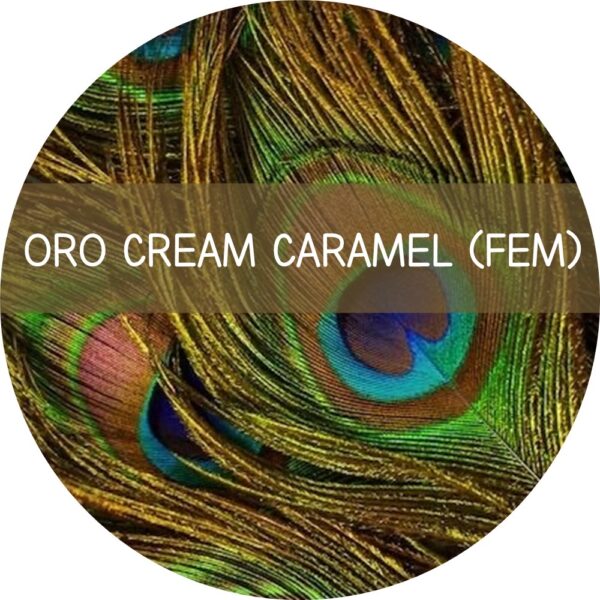ORO CREAM CARAMEL