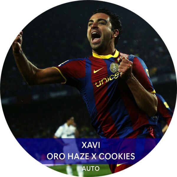 XAVI AUTO