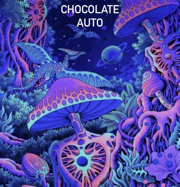 CHOCOLATE