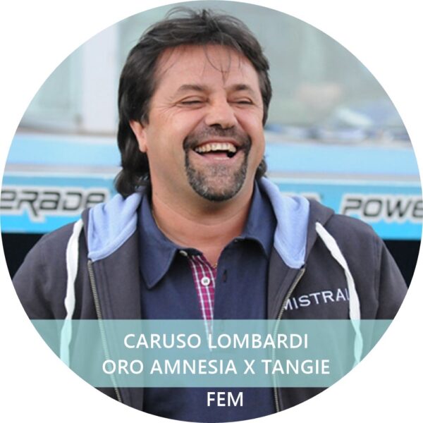 CARUSO LOMBARDI