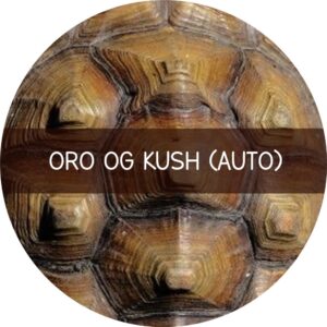 ORO OG KUSH
