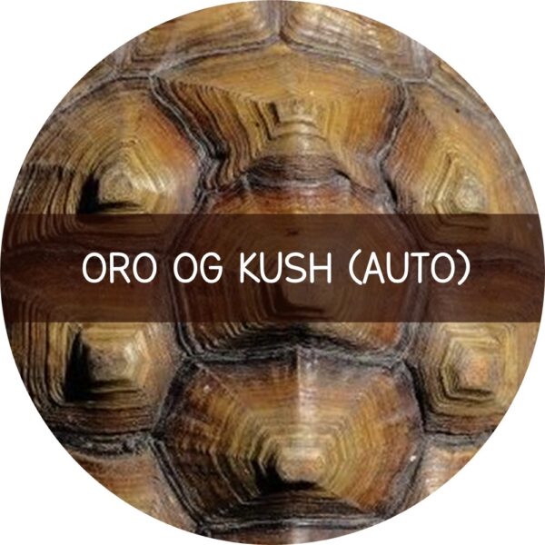 ORO OG KUSH