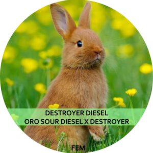 DESTROYER DIESEL