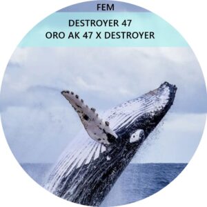 DESTROYER 47