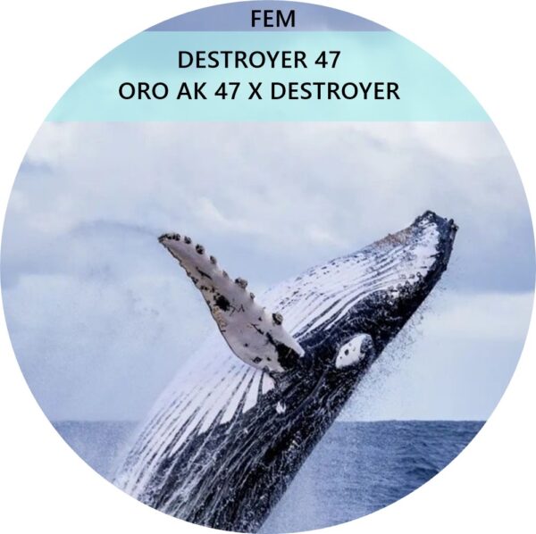DESTROYER 47