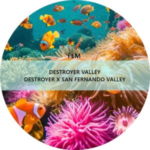 DESTROYER VALLEY