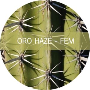 ORO HAZE