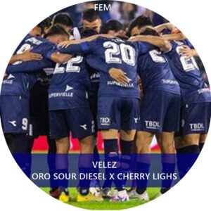VÉLEZ FEM