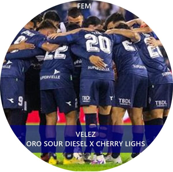 VÉLEZ FEM