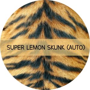 SUPER LEMON SKUNK