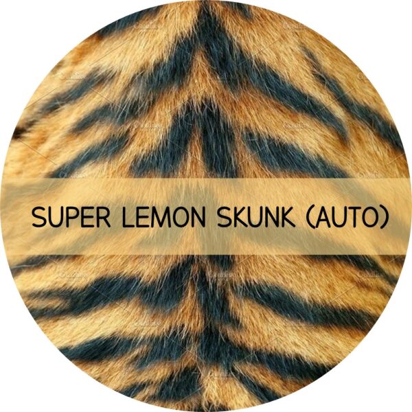 SUPER LEMON SKUNK