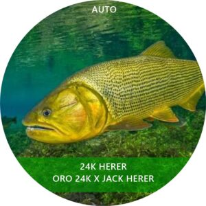 24K HERER AUTO