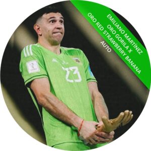 EMILIANO MARTÍNEZ AUTO