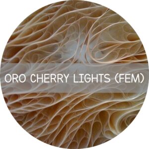 ORO CHERRY LIGHTS