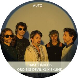 BABASÓNICOS AUTO