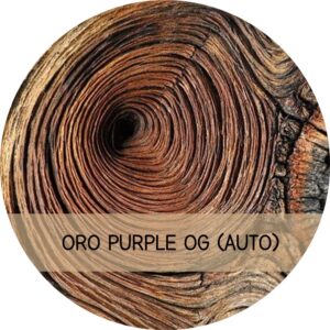 ORO PURPLE OG