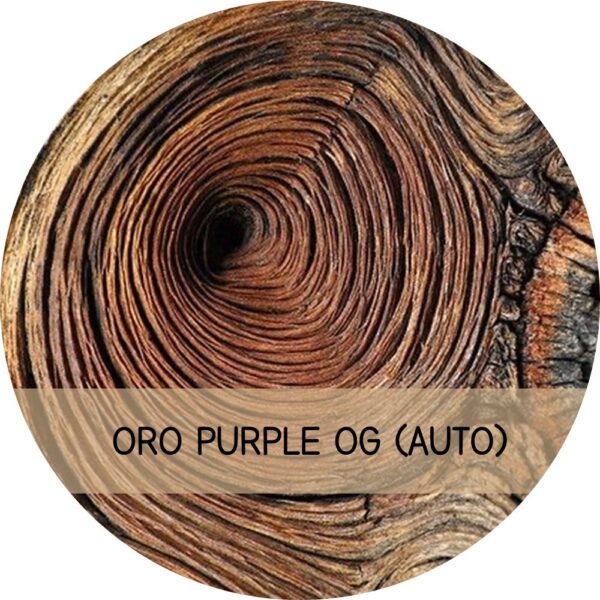 ORO PURPLE OG