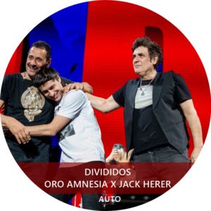 DIVIDIDOS AUTO