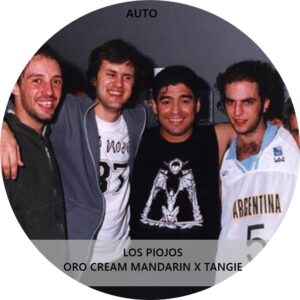 LOS PIOJOS AUTO