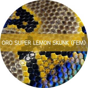 ORO SUPER LEMON SKUNK