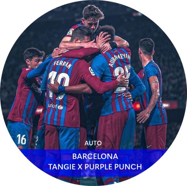 BARCELONA AUTO