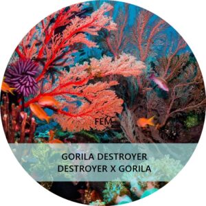 GORILA DESTROYER