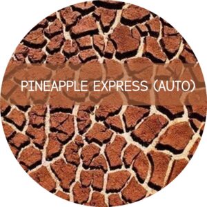 PINEAPPLE EXPRESS