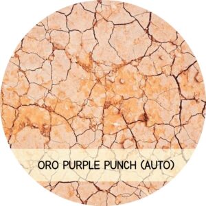 ORO PURPLE PUNCH