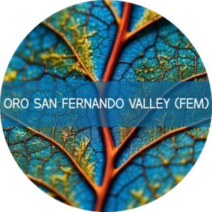 ORO SAN FERNANDO VALLEY
