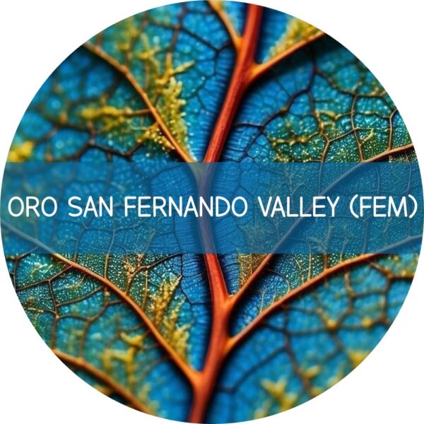ORO SAN FERNANDO VALLEY