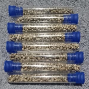 COMBO 1 x 70 semillas