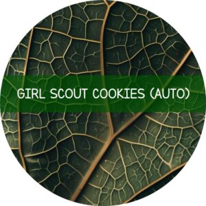 GIRL SCOUT COOKIES