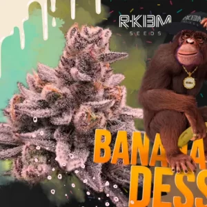 BANANA DESSERT REG