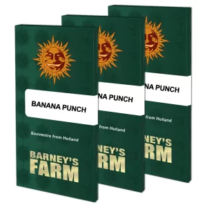 BANANA PUNCH