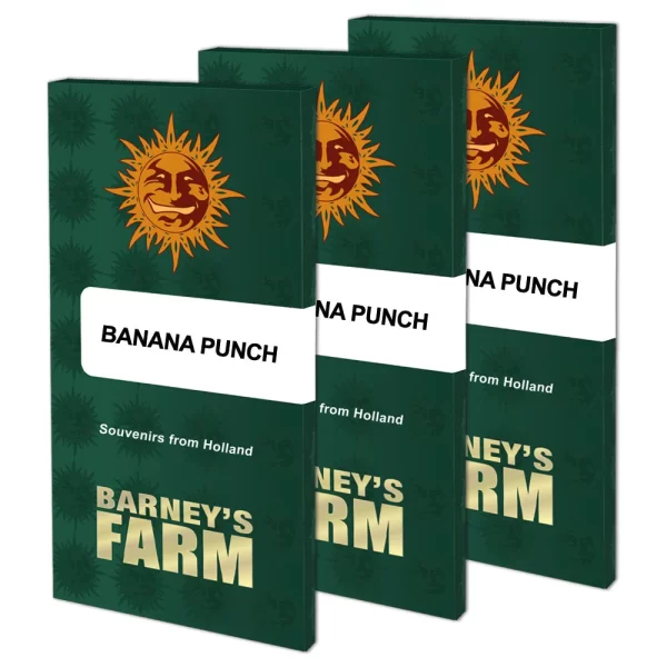 BANANA PUNCH