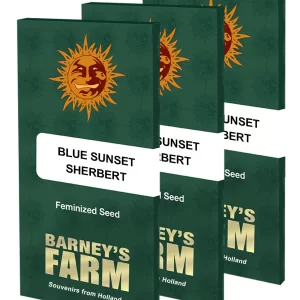 BLUE SUNSET SHERBERT