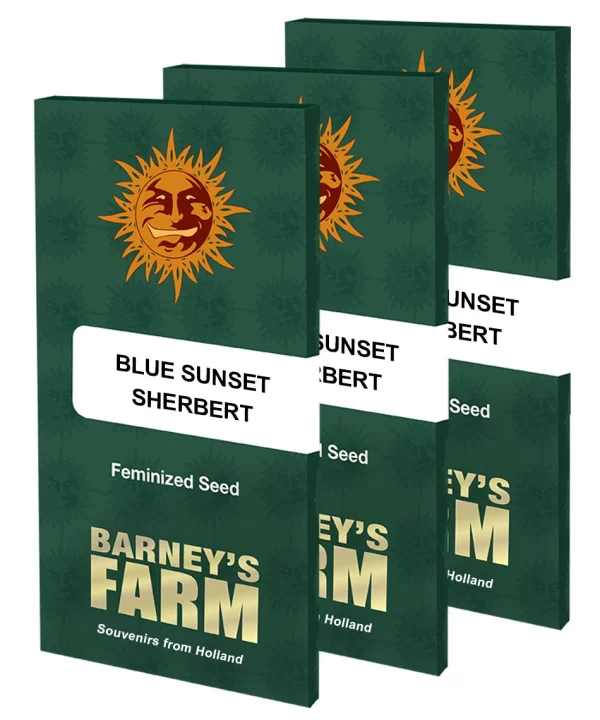 BLUE SUNSET SHERBERT