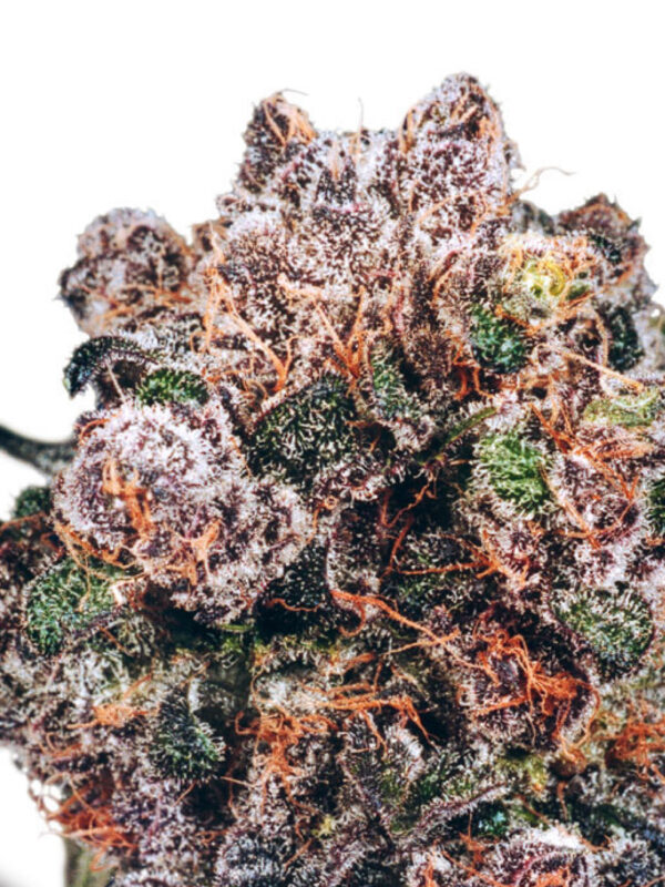 BLUEBERRY AUTO