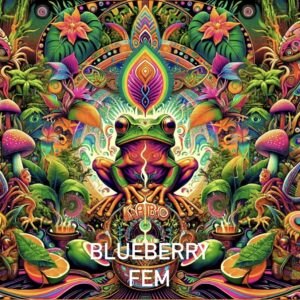 BLUEBERRY