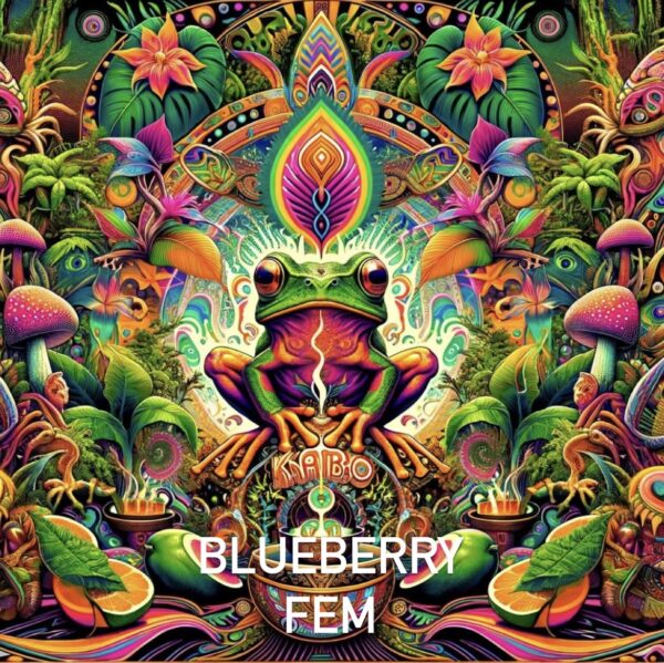 BLUEBERRY