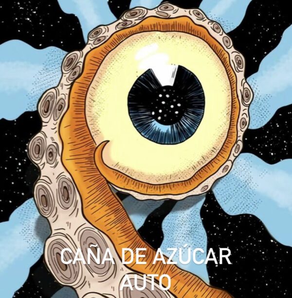 CAÑA DE AZÚCAR