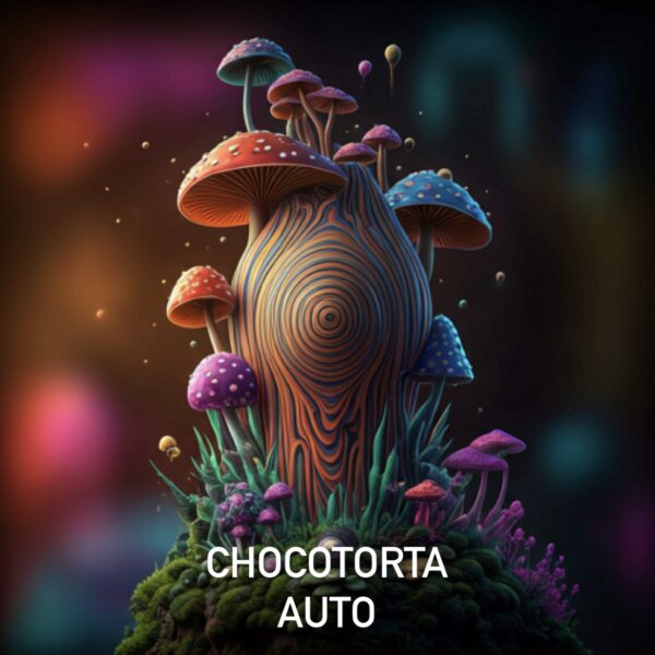 CHOCOTORTA