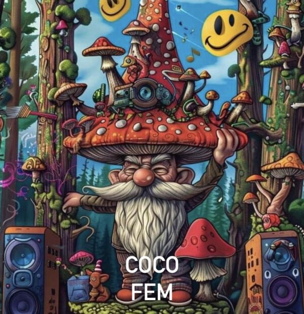COCO